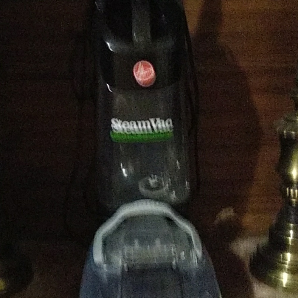 Steam Vac carpet cleaner